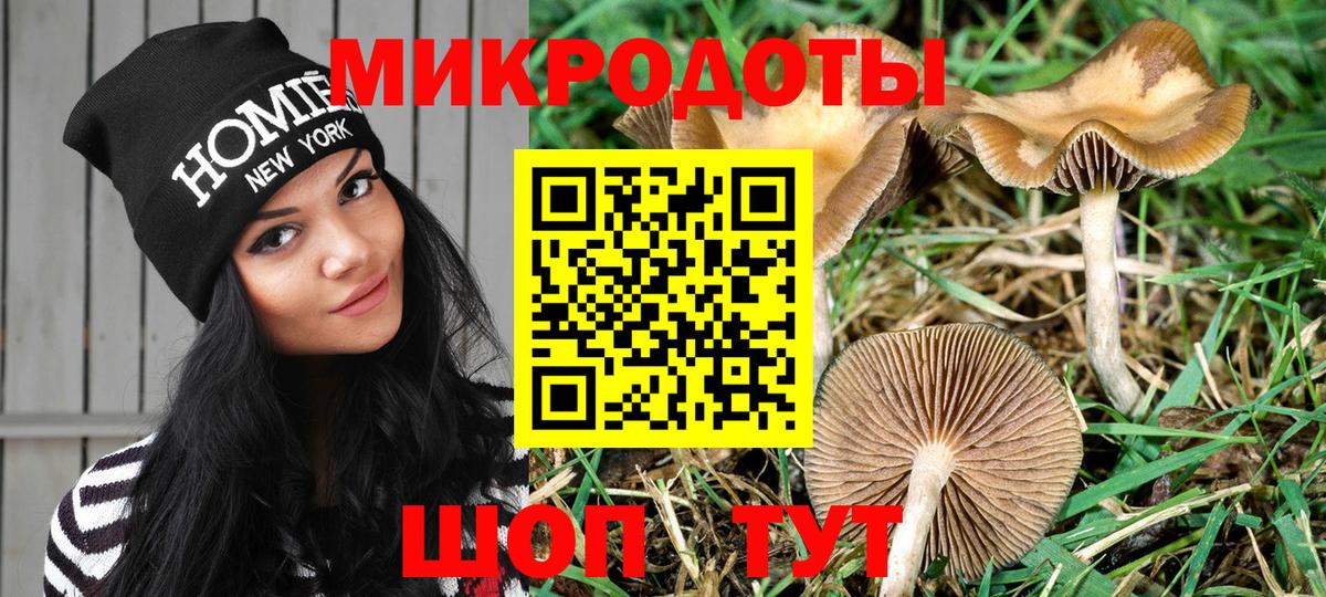 хочу   Псилоцибиновые грибы прущие грибы  Белореченск  Вход с VPN  Псилоцибиновые грибы ЛСД 